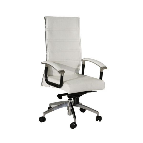 FAUTEUIL PRESIDENT 1